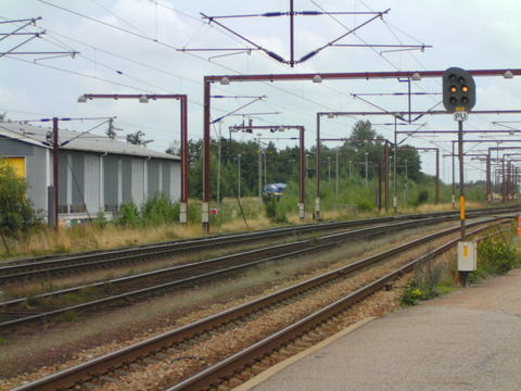 ringsted 2010 024